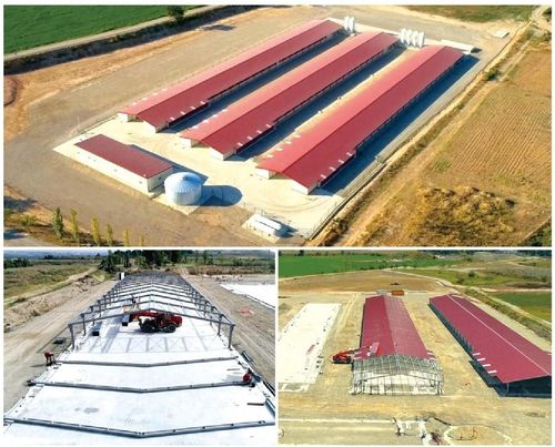 أحدث حالة شركة حول ثلاثة منازل لقطط الدجاج الجديدة في المرحلة الثالثة من بناء قاعات لقطط الدجاج للاخصاب،بقدرة نحو 147000 قطط دجاج.