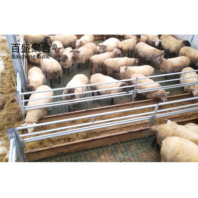 الحظائر المعدة مسبقاً للمواشي الخيول الماعز والغنم