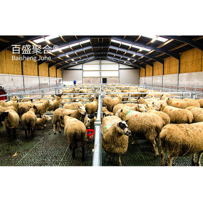 القناة الفولاذية ذات الشكل C.Z القابل للتخصيص Purlin Sheep Shed House for Livestock Management
