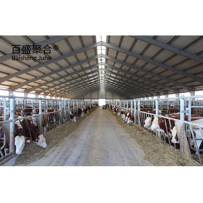 حظيرة البقر المصنوعة مسبقاً مع إطار هيكلي من الفولاذ الخفيف ومعتمدة على ISO9001 2008/CE/BV