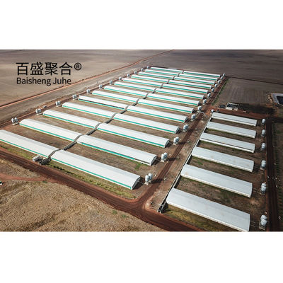 Automatic Poultry Farm Prefab Layer Pig Houses with Design and Aluminum Alloy Window (منشأة الدواجن الآلية المعدة مسبقاً)