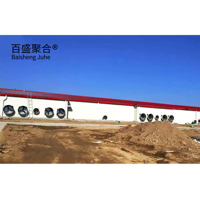 Automatic Poultry Farm Prefab Layer Pig Houses with Design and Aluminum Alloy Window (منشأة الدواجن الآلية المعدة مسبقاً)