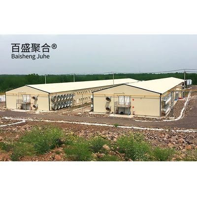 Automatic Poultry Farm Prefab Layer Pig Houses with Design and Aluminum Alloy Window (منشأة الدواجن الآلية المعدة مسبقاً)
