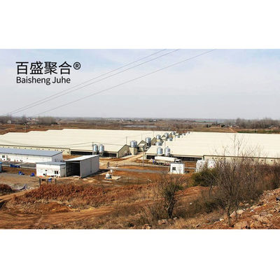 Automatic Poultry Farm Prefab Layer Pig Houses with Design and Aluminum Alloy Window (منشأة الدواجن الآلية المعدة مسبقاً)