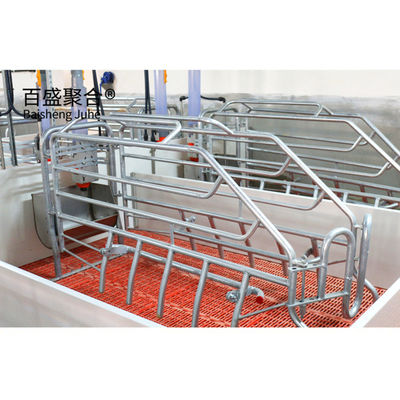 خطة عمل تربية الخنازير المعتمدة من ISO9001 2008/CE/BV للقفص والقلم المخصص