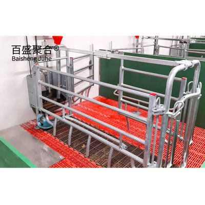 خطة عمل تربية الخنازير المعتمدة من ISO9001 2008/CE/BV للقفص والقلم المخصص