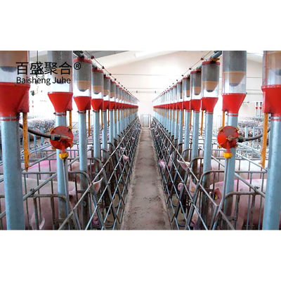 خطة عمل تربية الخنازير المعتمدة من ISO9001 2008/CE/BV للقفص والقلم المخصص
