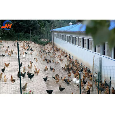 ISO9001 2008/CE/BV معتمد مزرعة الدواجن الحديثة هيكل الفولاذ الخفيف بيت الدجاج