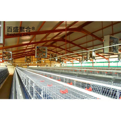 الغلفاني نوع A القفص الدجاج طبقة الدواجن مع ISO9001 2008/CE/BV شهادة