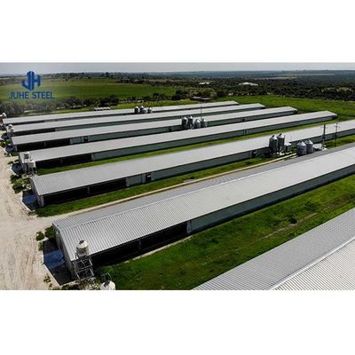 معدات تربية الدواجن الفولاذية المخصصة لتصميم وبناء بيت الدجاج