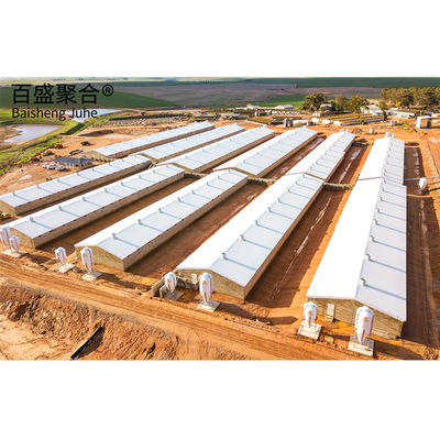 10000 Chickens Prefabricated Steel Tolerance ± 1% for Chicken and Duck Farm Structures (تسامح فولاذي مُجهز من قبل الدجاج)