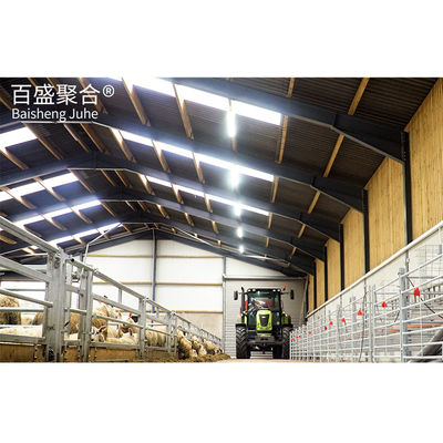 10000 Chickens Prefabricated Steel Tolerance ± 1% for Chicken and Duck Farm Structures (تسامح فولاذي مُجهز من قبل الدجاج)