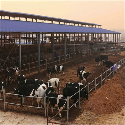 الإطار الفولاذي الخفيف المعدة مسبقاً مزرعة الأبقار الحليبية مع لوحة ساندوتش ونوافذ بي في سي