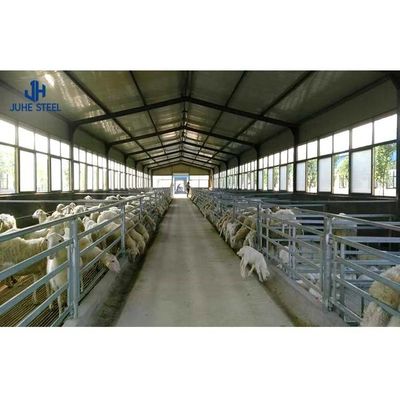 Q235 Q355B Steel Livestock Shelter Poultry Farm تخطيط التصميم منزل قريب مزرعة الدجاج