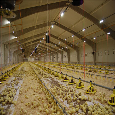 Q235/Q345 صلب منخفض الكربون بناء مزرعة الدواجن للبقر الماعز الحصان الساحة الماشية الغنم