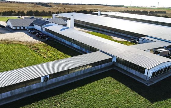 Solid H-shape Steel Beam Prefabricated Metal Warehouse Hangar for Garden Shed/Tool House (مخزن معدني مُعدّل بحجم H)